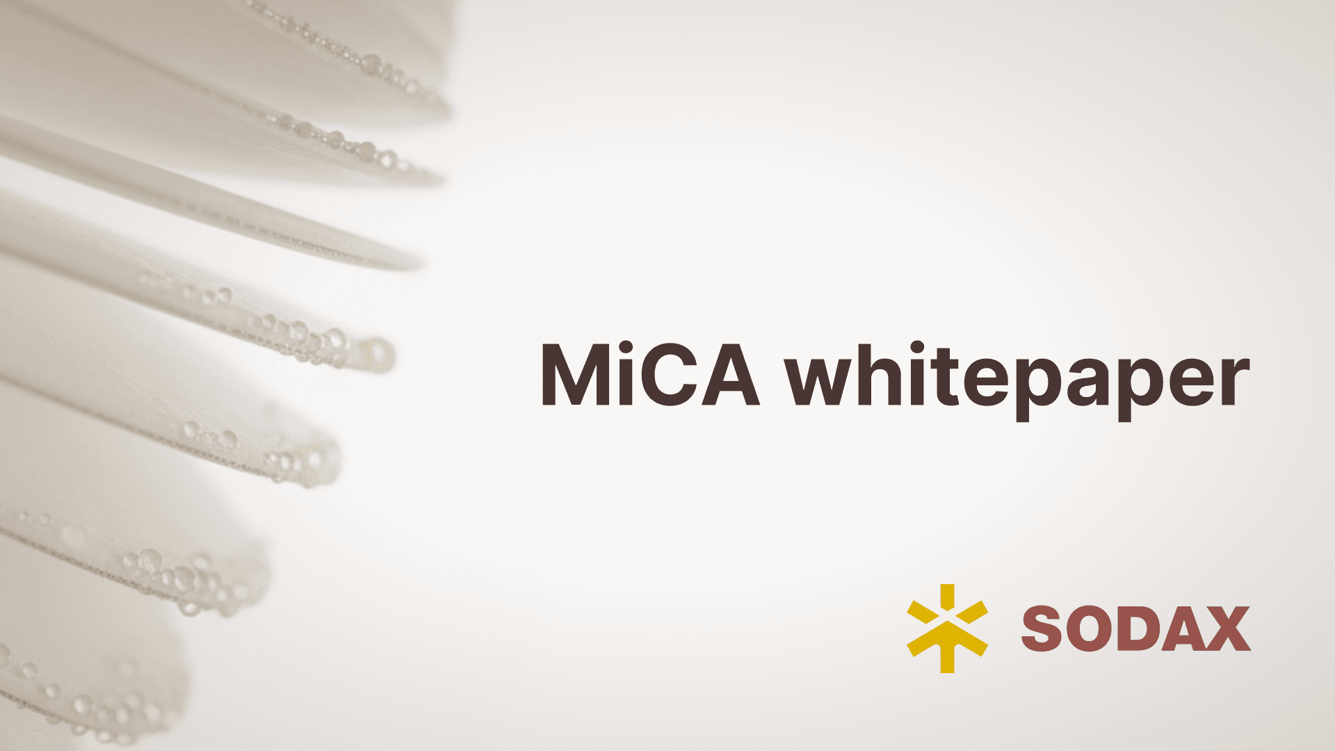 Crypto-asset whitepaper for SODA published under the EU's Markets in Crypto-Assets Regulation (MiCA). ESMA notification ID 3476093.